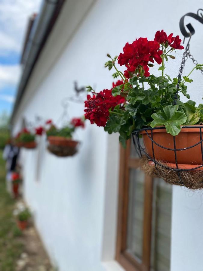 Casa Canda Salasu de Sus Eksteriør billede